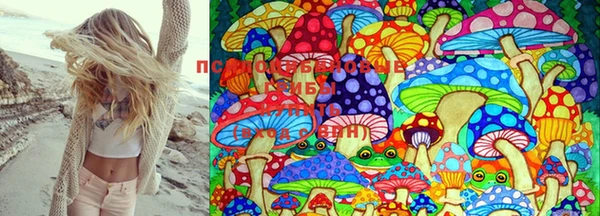 метадон Козельск