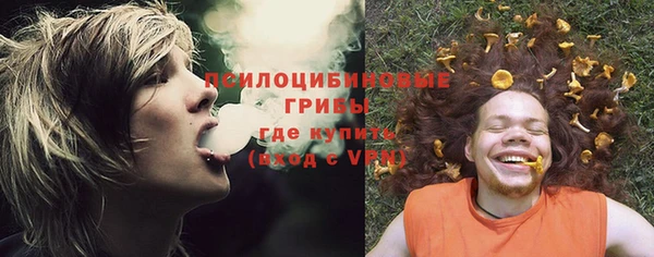 MDMA Premium VHQ Кодинск