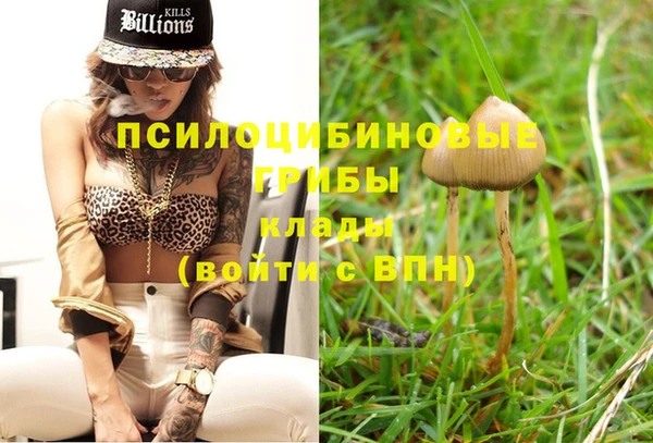 PSILOCYBIN Коряжма