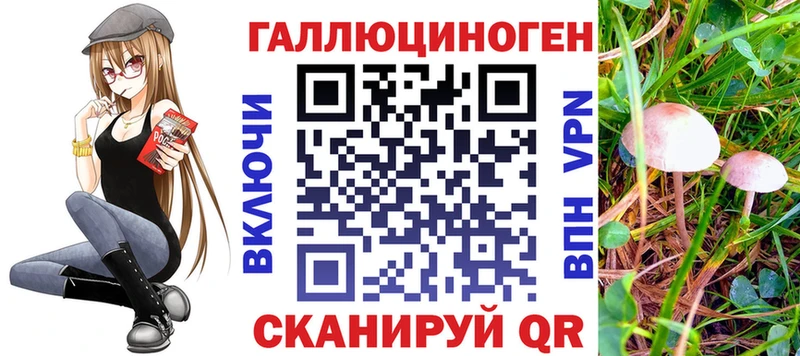 Купить где  Медвежьегорск  Псилоцибиновые грибы мицелий 
